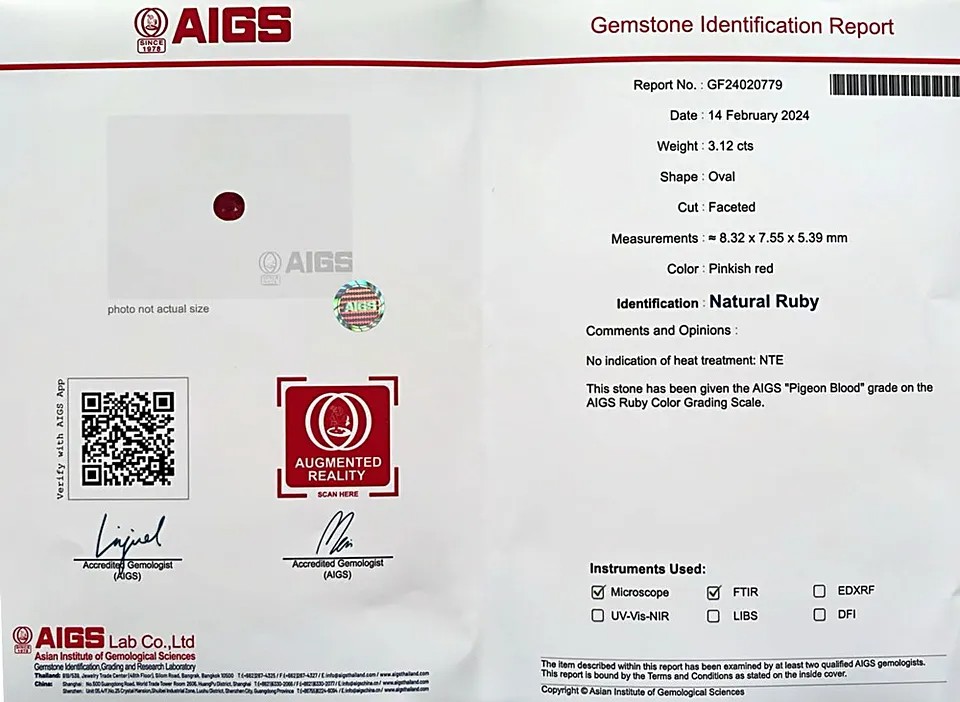AIGS GF24020779