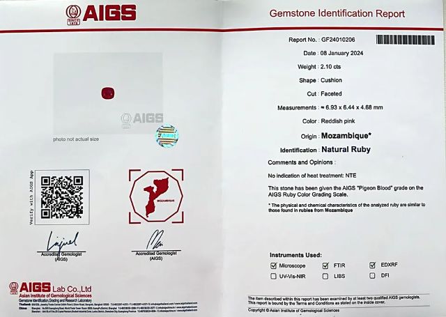 AIGS GF24080646