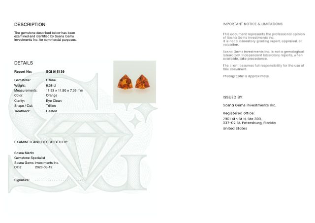 Sosna Gems Colored Stone Report